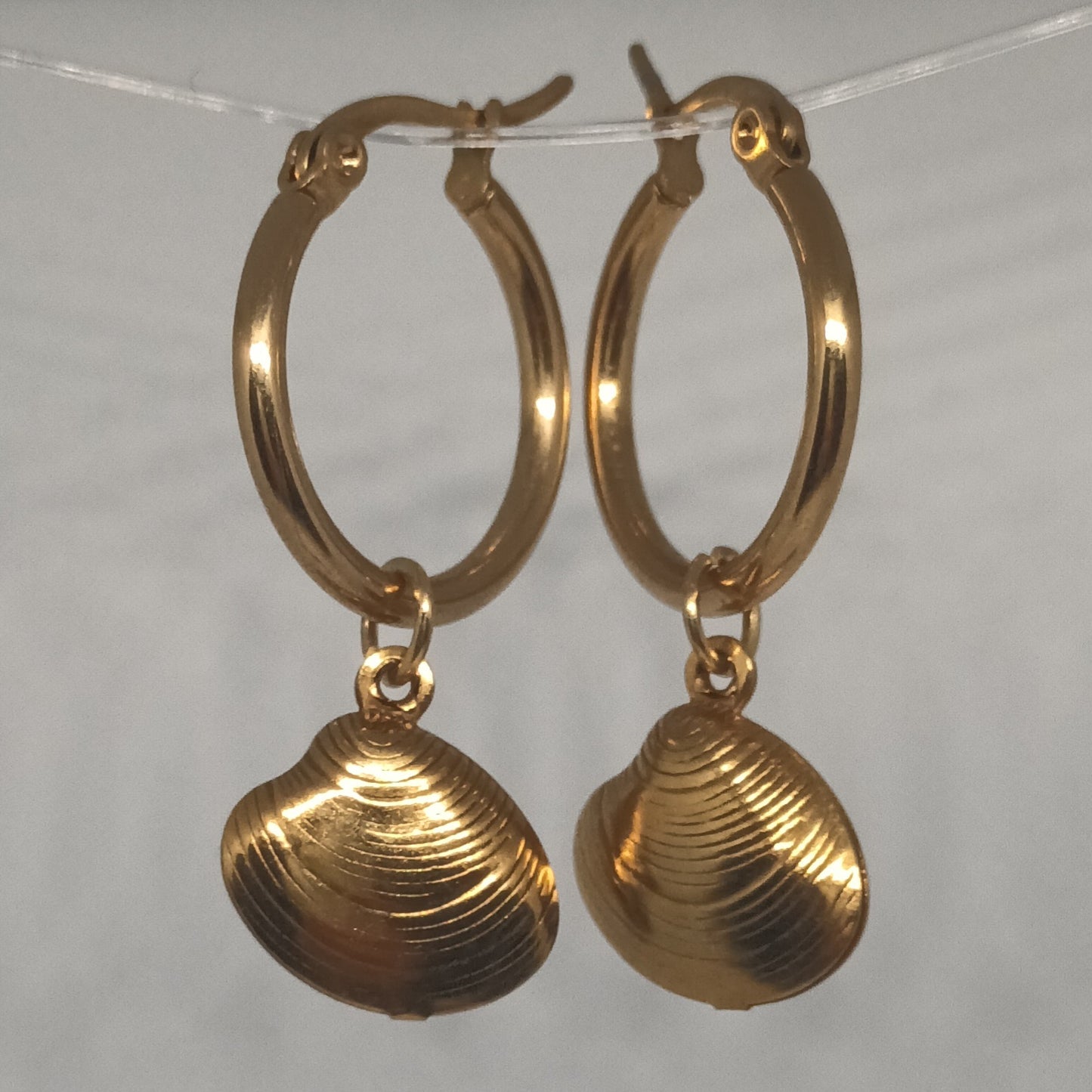 Shell Hoops